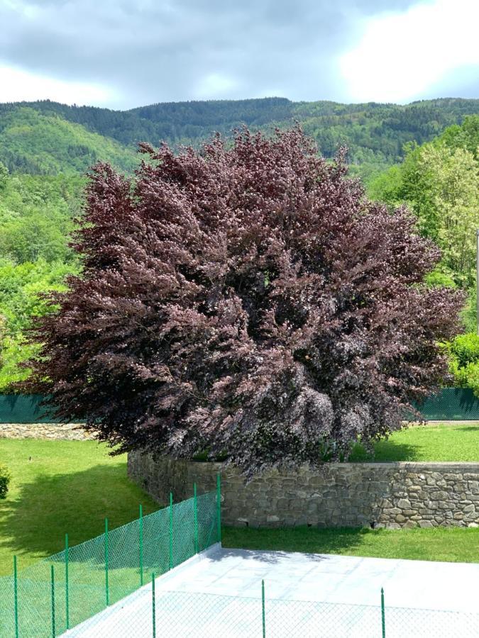 Nidi Del Faggio Rosso - Family Holiday Home Maresca Dış mekan fotoğraf