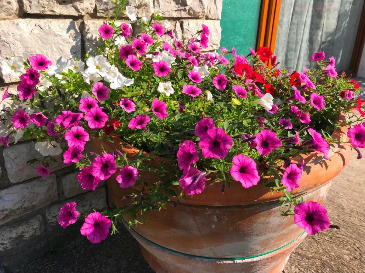 Nidi Del Faggio Rosso - Family Holiday Home Maresca Dış mekan fotoğraf